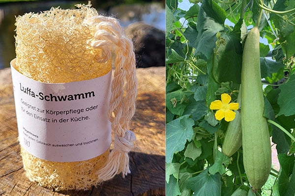 Luffa-Schwamm klein (ca. 7 cm)